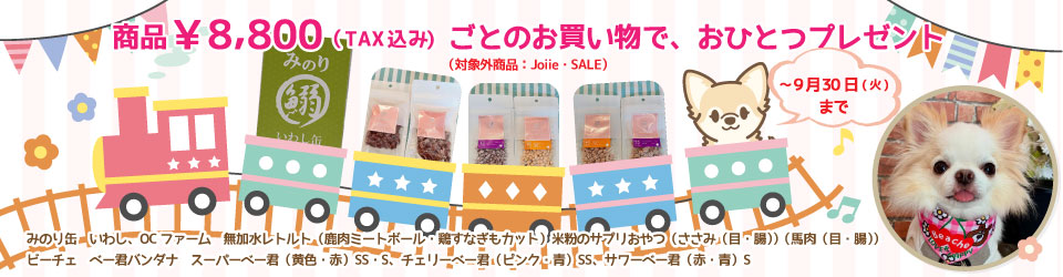 プレゼント