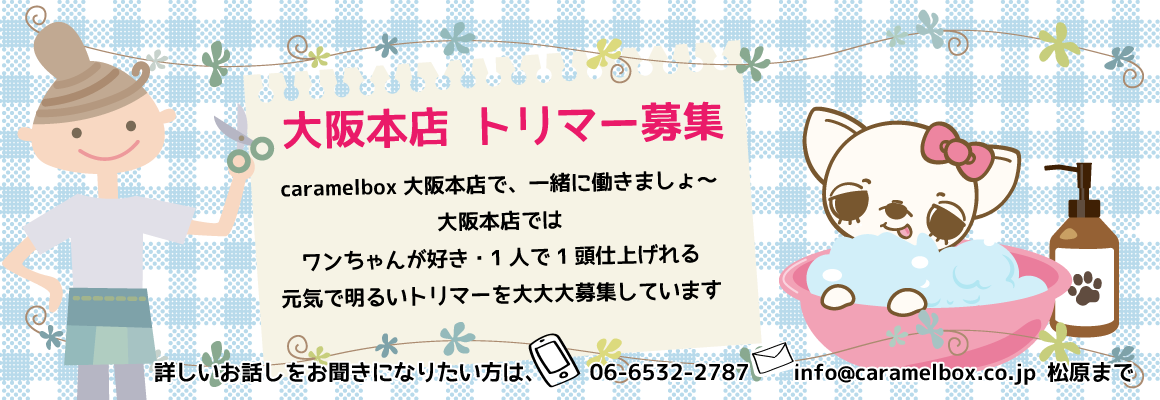 大阪本店トリマー＆販売スタッフ募集