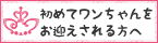 初めてワンちゃんをお迎えされる方へ