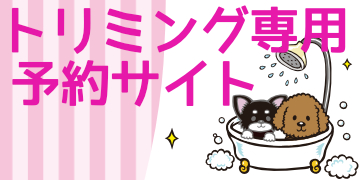 CaramelBox大阪本店トリミング インスタ
